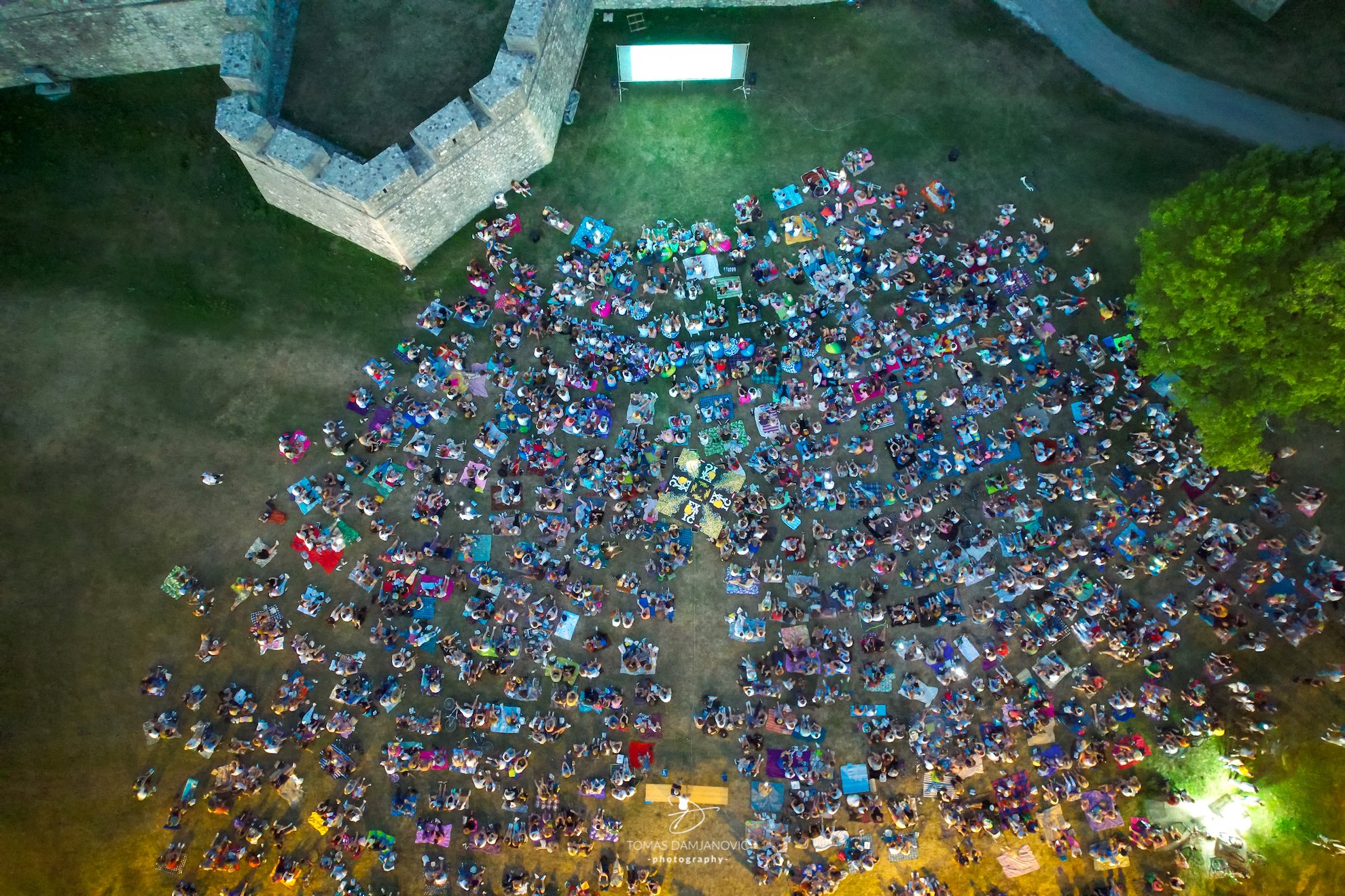 Фото архива Т. Дамјановић