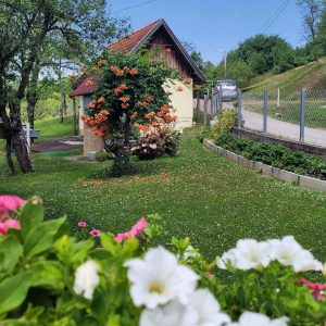 „Бирамо најуређеније“: Комисија обилази дворишта