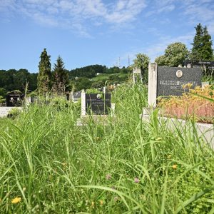 Због непрофесионалног вођења предузећа: Градоначелник донио одлуку о смјени директора ЈКП „Градско гробље“ Због непрофесионалног вођења предузећа: Градоначелник донио одлуку о смјени директора ЈКП „Градско гробље“