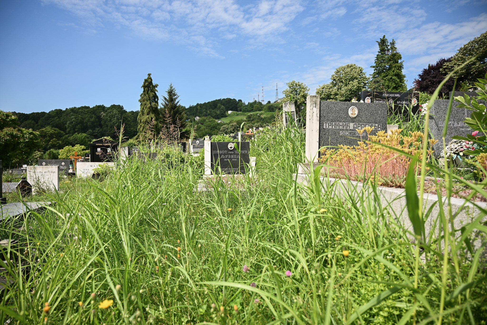  Фото: А. Чавић