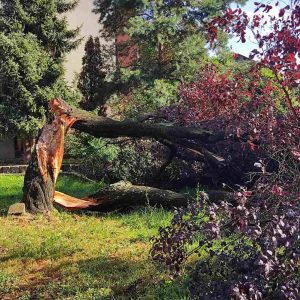 Надлежне службе на терену: Санирају посљедице олујног невремена