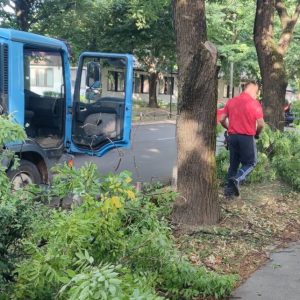 Екипе на терену, уклањају оштећена стабла