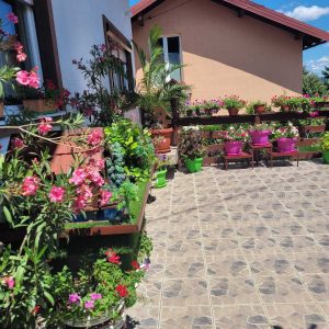 Проглашени побједници акције „Бирамо најуређеније“: Најљепше двориште Татјане Савановић из Бистрице