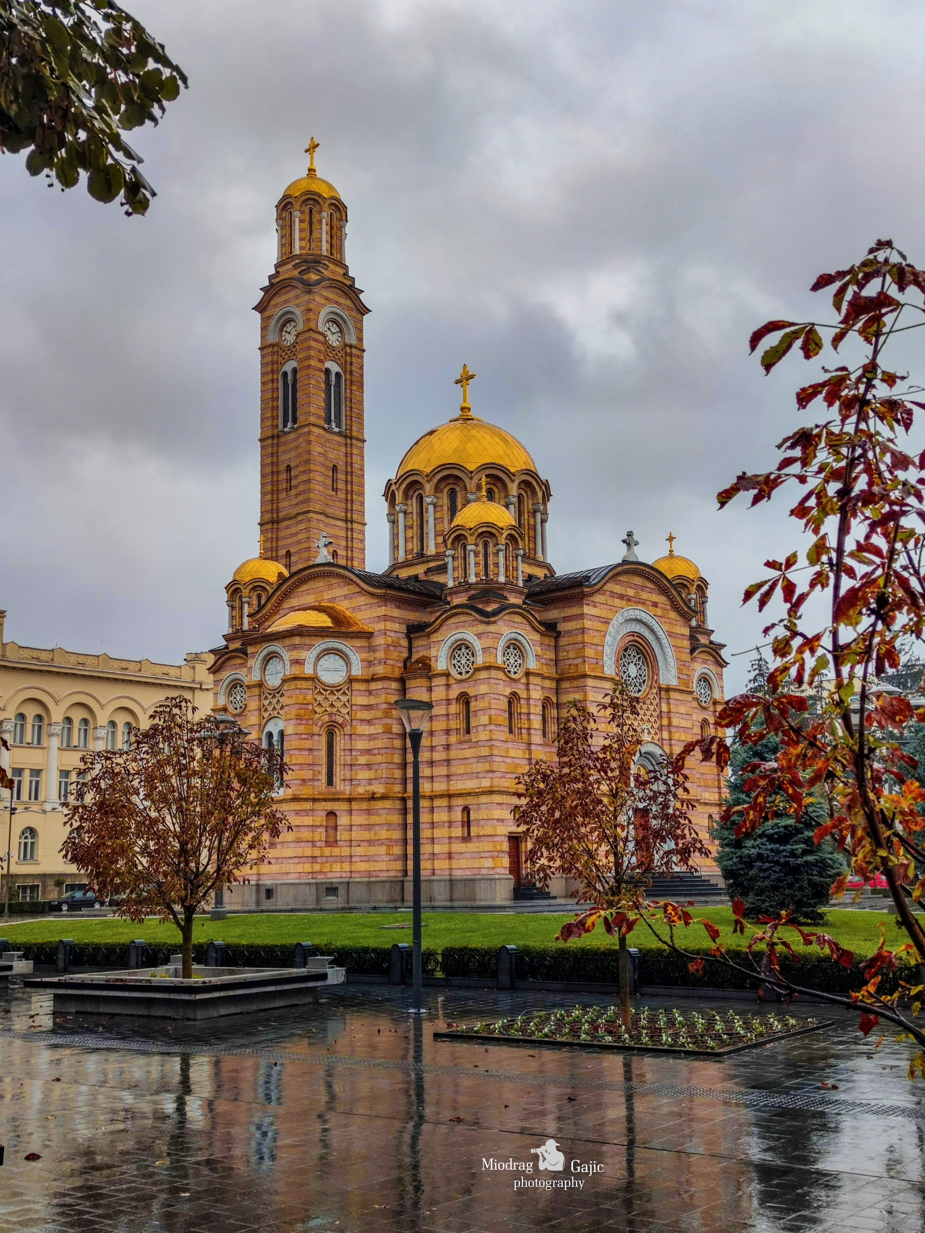  Фото: М. Гајић