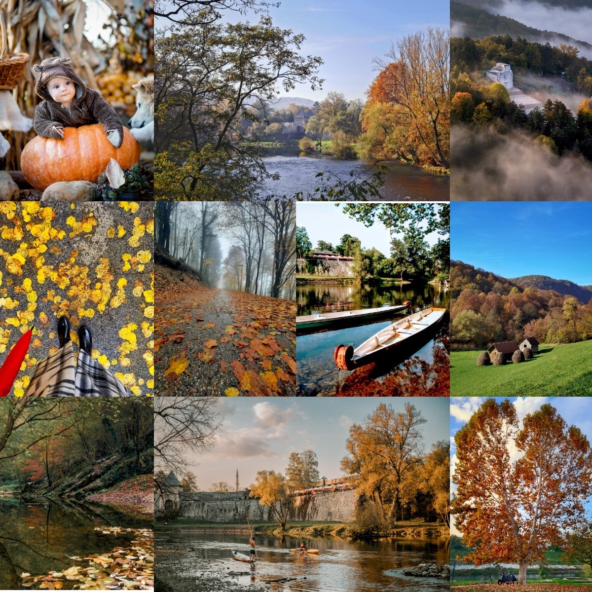  Prošlogodišnjih top deset fotografija