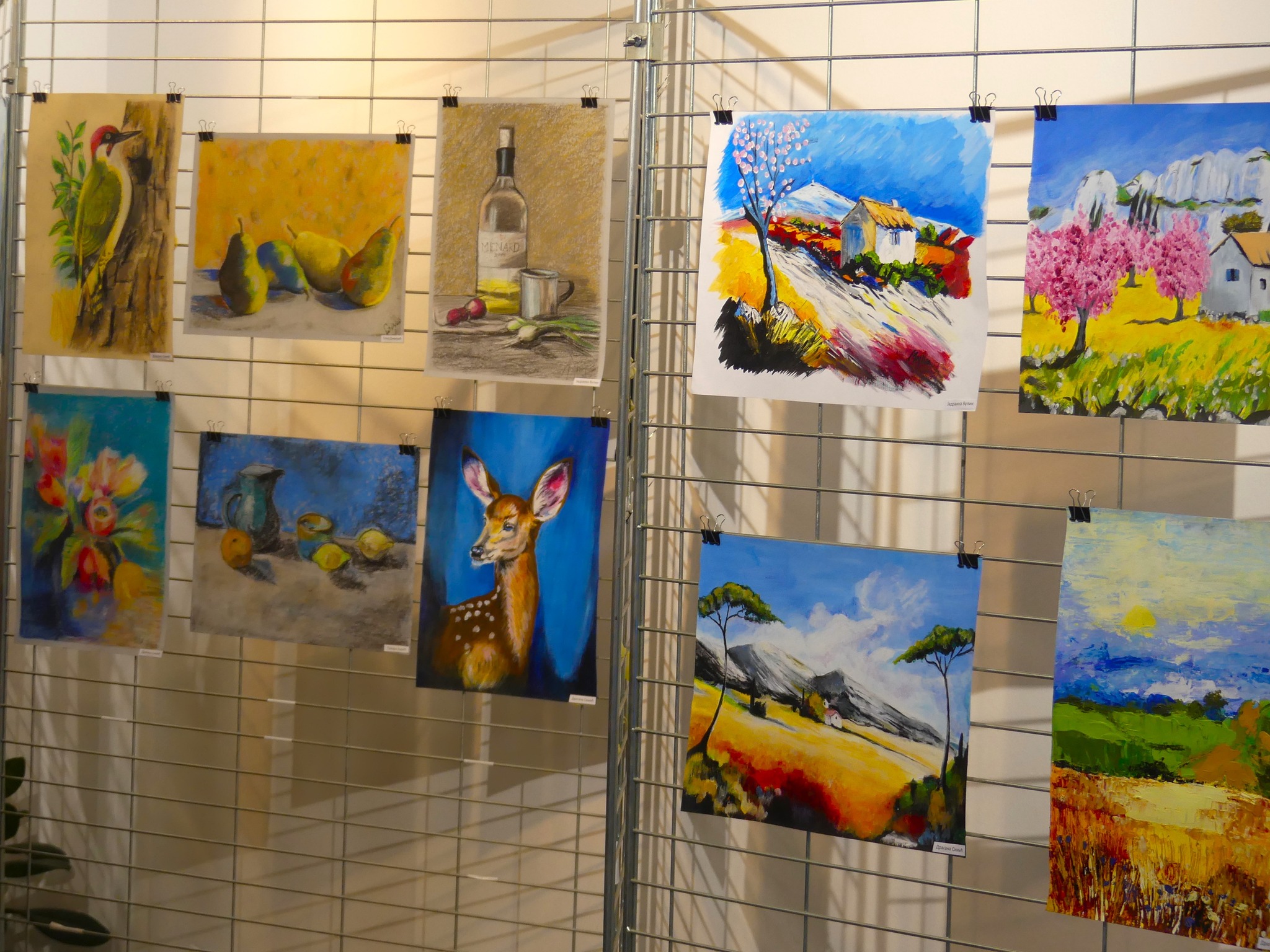  Фото: С. Стојаковић