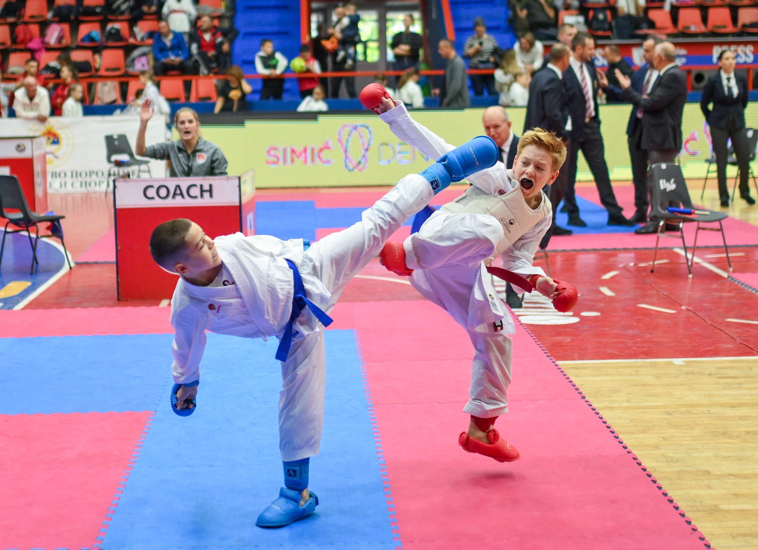 Фото: А. Чавић