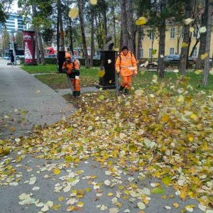 Због повољних временских услова: У току сакупљање преосталог лишћа на неколико локација у граду