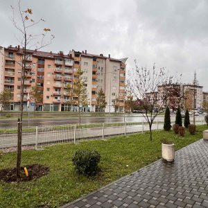 За љепшу и зеленију Бању Луку: Станари ЗЕВ Југ Богдана 17 поклонили граду стабла платана
