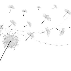 Престају мјерења, у ваздуху више нема полена