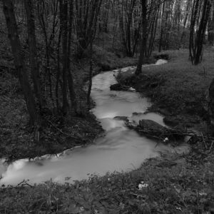 Четвртак у МСУРС: Отварање изложбе „Повратак“ Драге Вејновића Четвртак у МСУРС: Отварање изложбе „Повратак“ Драге Вејновића