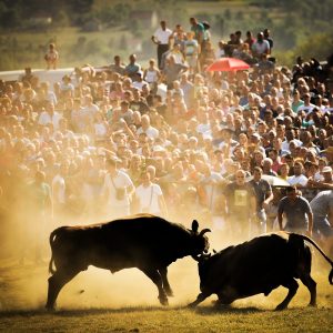 Сумирамо резултате: Оборени рекорди, Кочићев збор посјетило око 80.000 људи