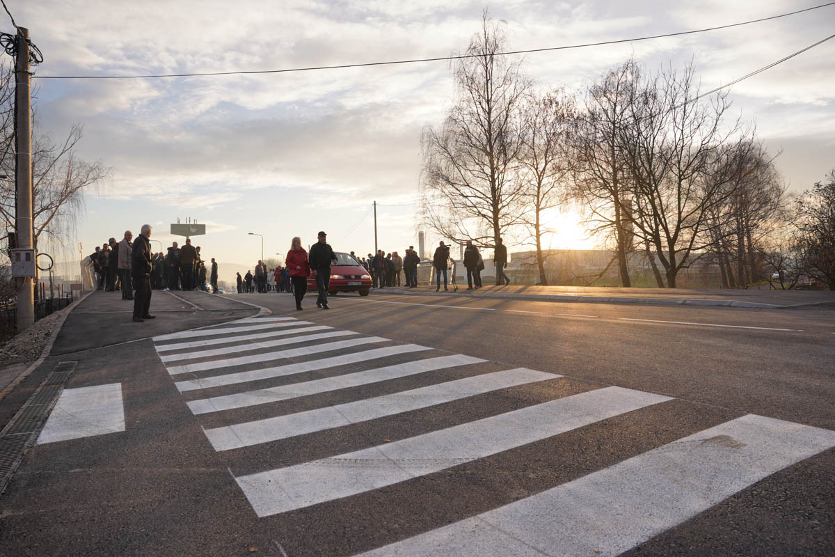  Фото: Д. Ракита