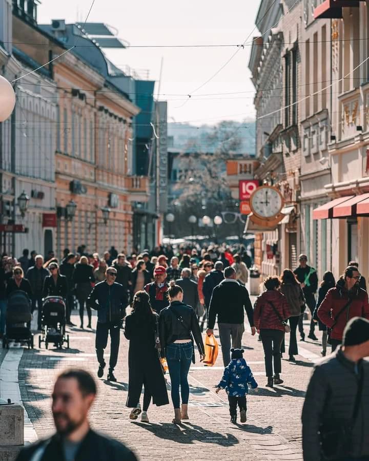  Фото: Н. Попадић