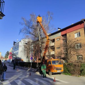 Aktivnosti u gradskim drvoredima