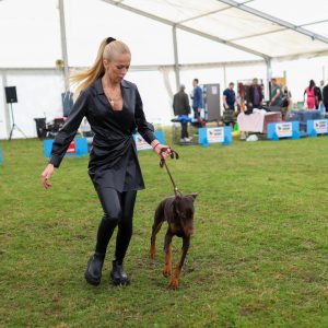 Манифестација за љубитеље паса: Одржан Други доберман куп Манифестација за љубитеље паса: Одржан Други доберман куп