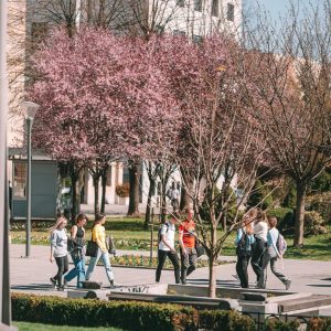 Подршка младима: Уплаћена прва рата стипендије за студенте