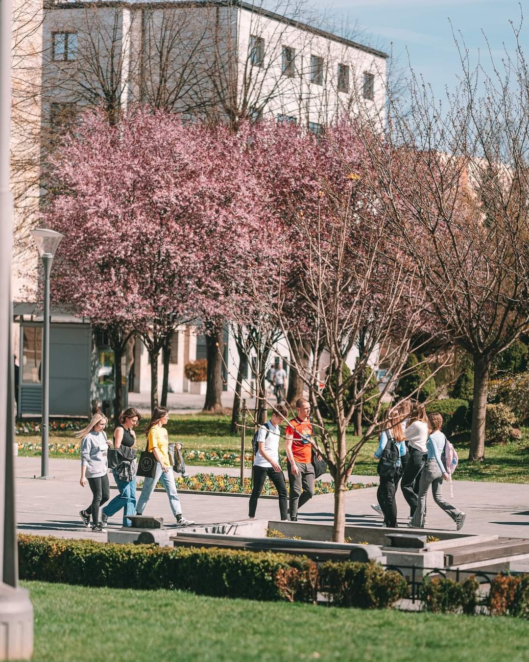  Фото архива