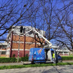 Нови начин реконструкције расвјете у Улици мајке Југовића: Сачуван јединствен дрворед, омогућена боља освијетљеност