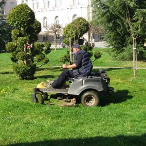 Интензивирани радови: Почело кошење на подручју града Интензивирани радови: Почело кошење на подручју града