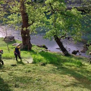 Чист град, дуга љубав: Наредне седмице акција чишћења и уређења на подручју насеља Обилићево