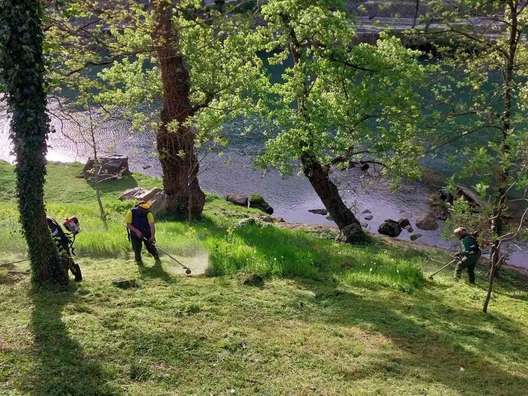  Фото илустрација