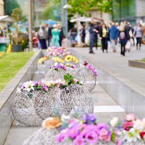 Прољећна бајка у Парку „Петар Кочић: Почео Бањалучки фестивал цвијећа