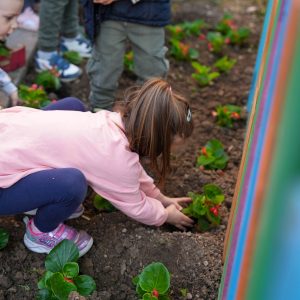 Придружите нам се: У четвртак централна акција уређења насеља Нова варош и Росуље