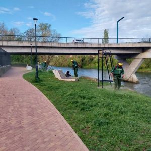 Интензивиране активности на кошењу и уређењу градског зеленила Интензивиране активности на кошењу и уређењу градског зеленила