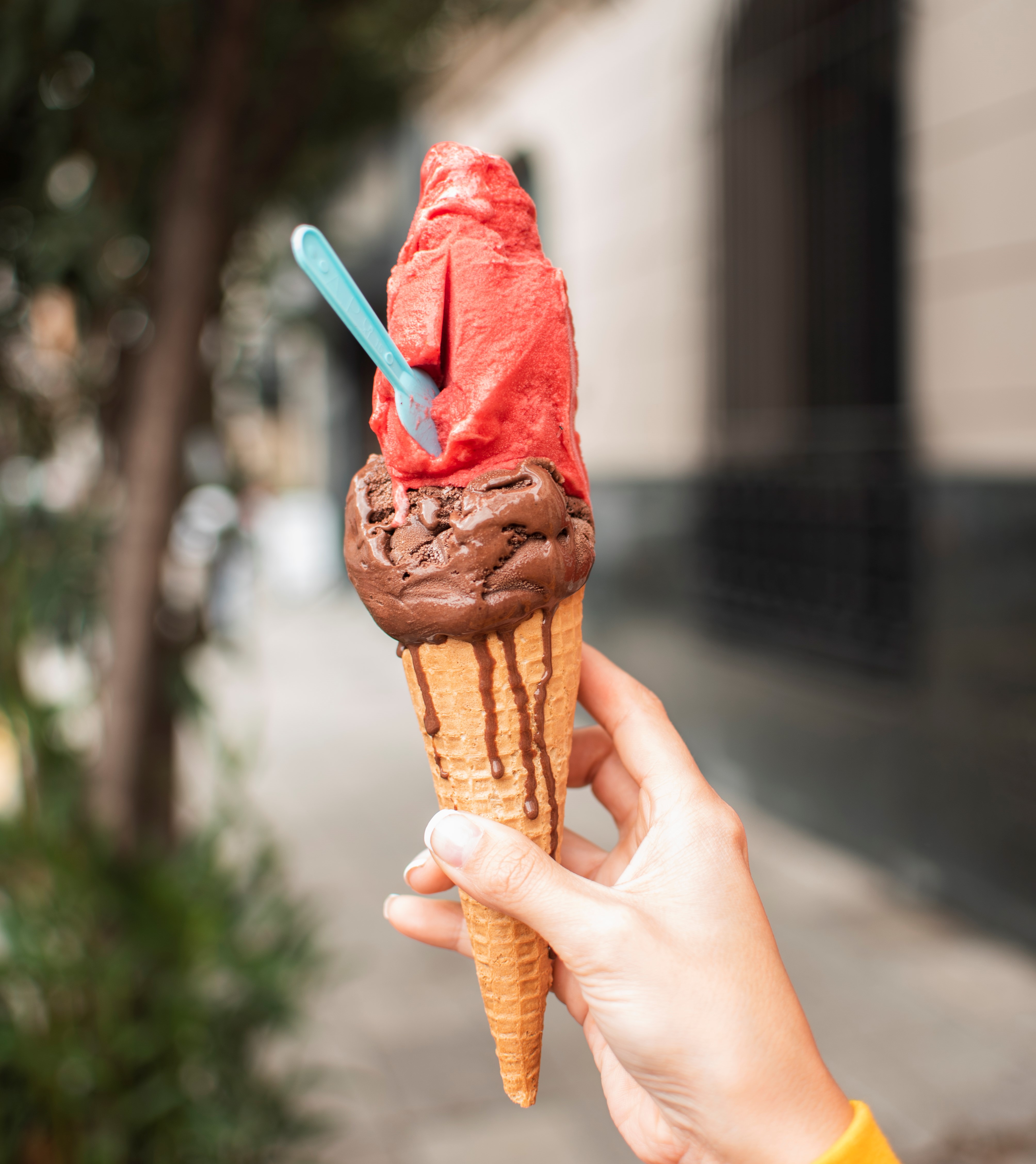  Фото илустрација 