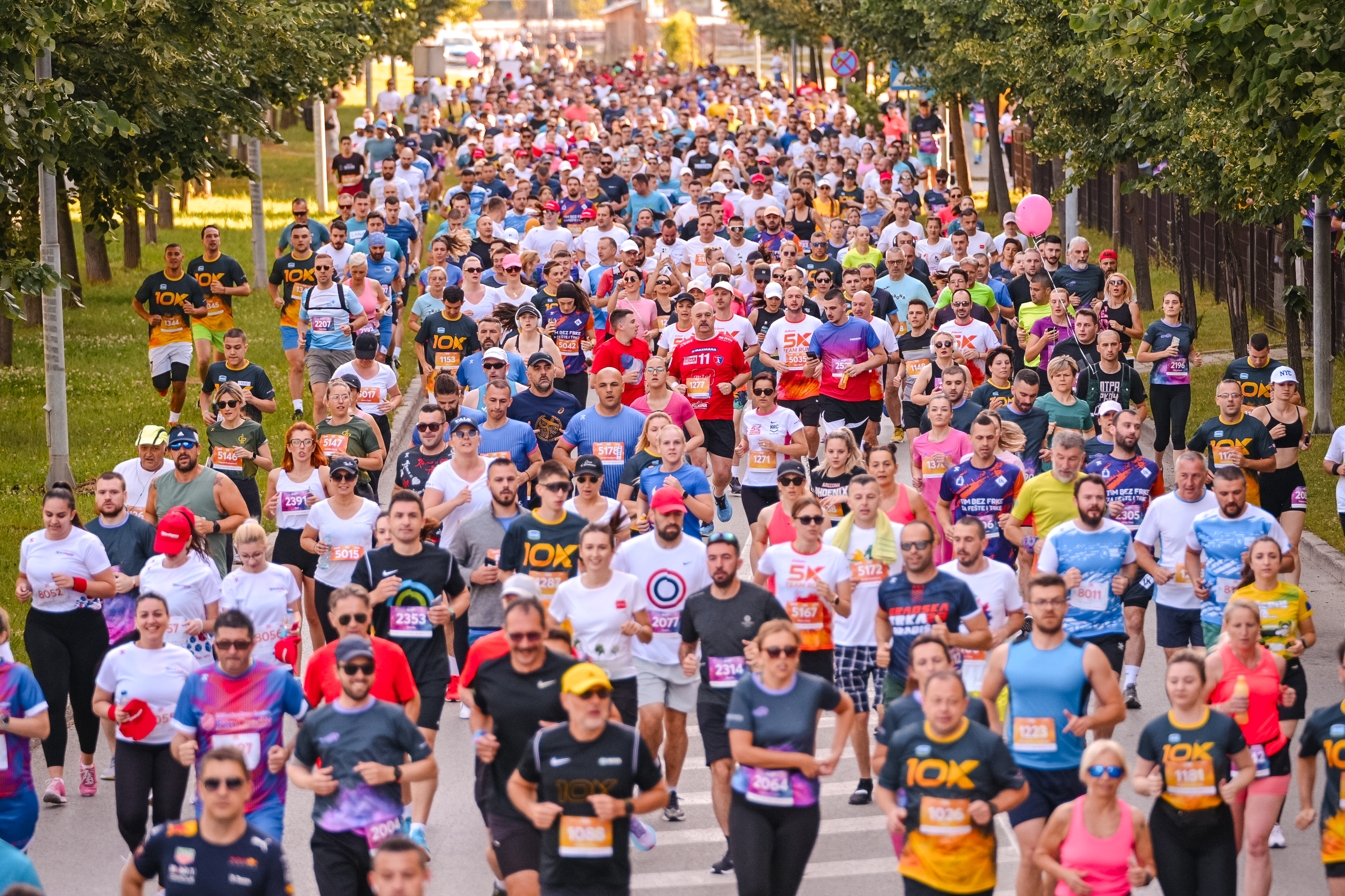  Фото: А: Чавић