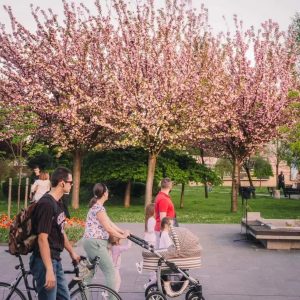 Добре праксе се настављају: Од увођења мјере подршку при рођењу дјетета остварило 5.800 породиља