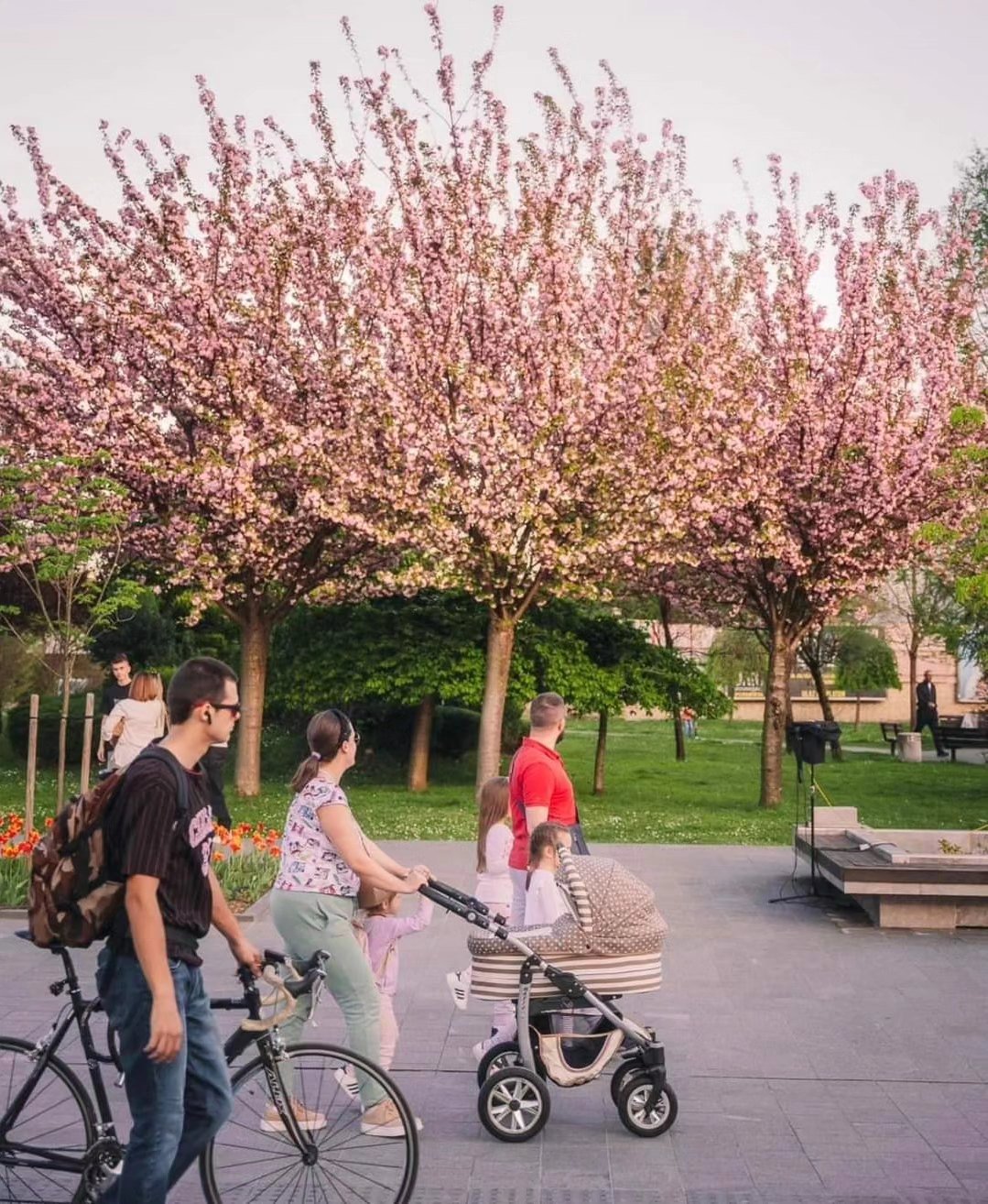  Фото архива