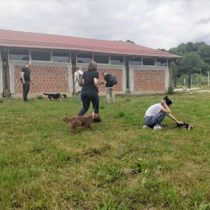 Суграђани се дружили са љубимцима у азилу на Мањачи Суграђани се дружили са љубимцима у азилу на Мањачи