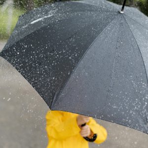 РХМЗ: Упозорење на обилне падавине 1. и 2. јула РХМЗ: Упозорење на обилне падавине 1. и 2. јула