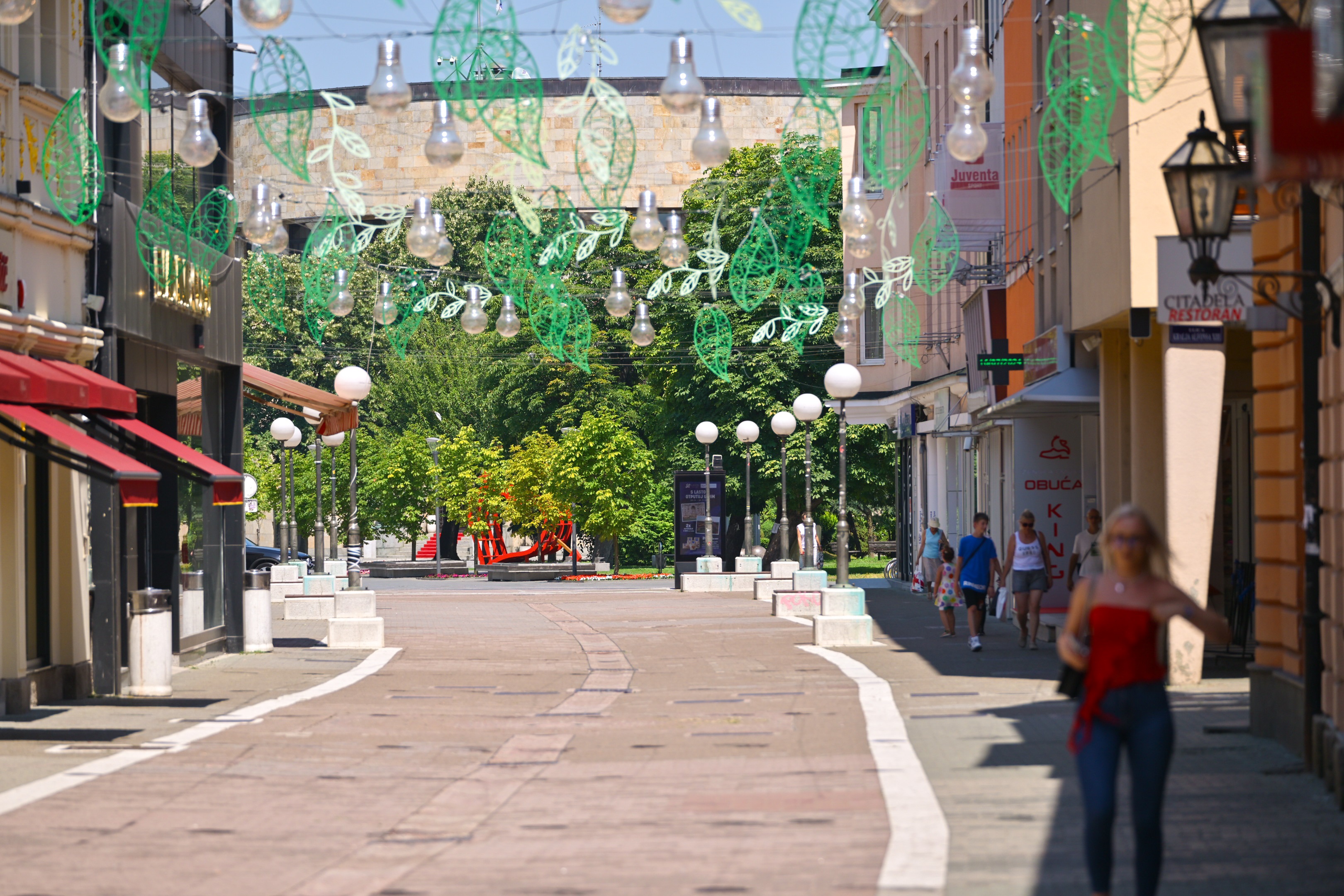 Фото: А. Чавић