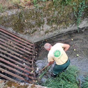 Превентивне активности: У току додатна контрола и чишћење сливника на више градских локација Превентивне активности: У току додатна контрола и чишћење сливника на више градских локација