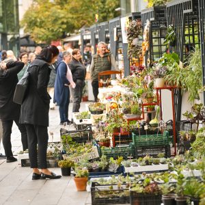 Јесења бајка у Парку „Петар Кочић“: Искористите прилику и уживајте у Јесењем фестивалу цвијећа, плодова и меда