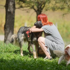 Одјељење за комуналне послове: Заједничким снагама са волонтерима константно се ради на побољшању услова у азилу Одјељење за комуналне послове: Заједничким снагама са волонтерима константно се ради на побољшању услова у азилу