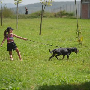 Са доласком љепшег времена: Посјетите азил и пружите дом неком од предивних паса Са доласком љепшег времена: Посјетите азил и пружите дом неком од предивних паса