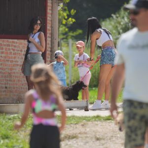 Огромна заинтересованост: „Велика шетња“ паса у азил на Мањачу привукла мноштво љубитеља животиња Огромна заинтересованост: „Велика шетња“ паса у азил на Мањачу привукла мноштво љубитеља животиња