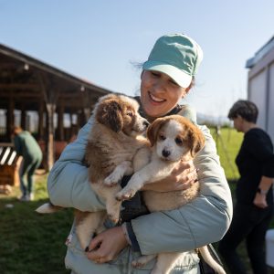 Сјајан одзив на радну акцију у азилу, представници Града поручили: Посјетите азил, пружите неком од псића стални, топли дом