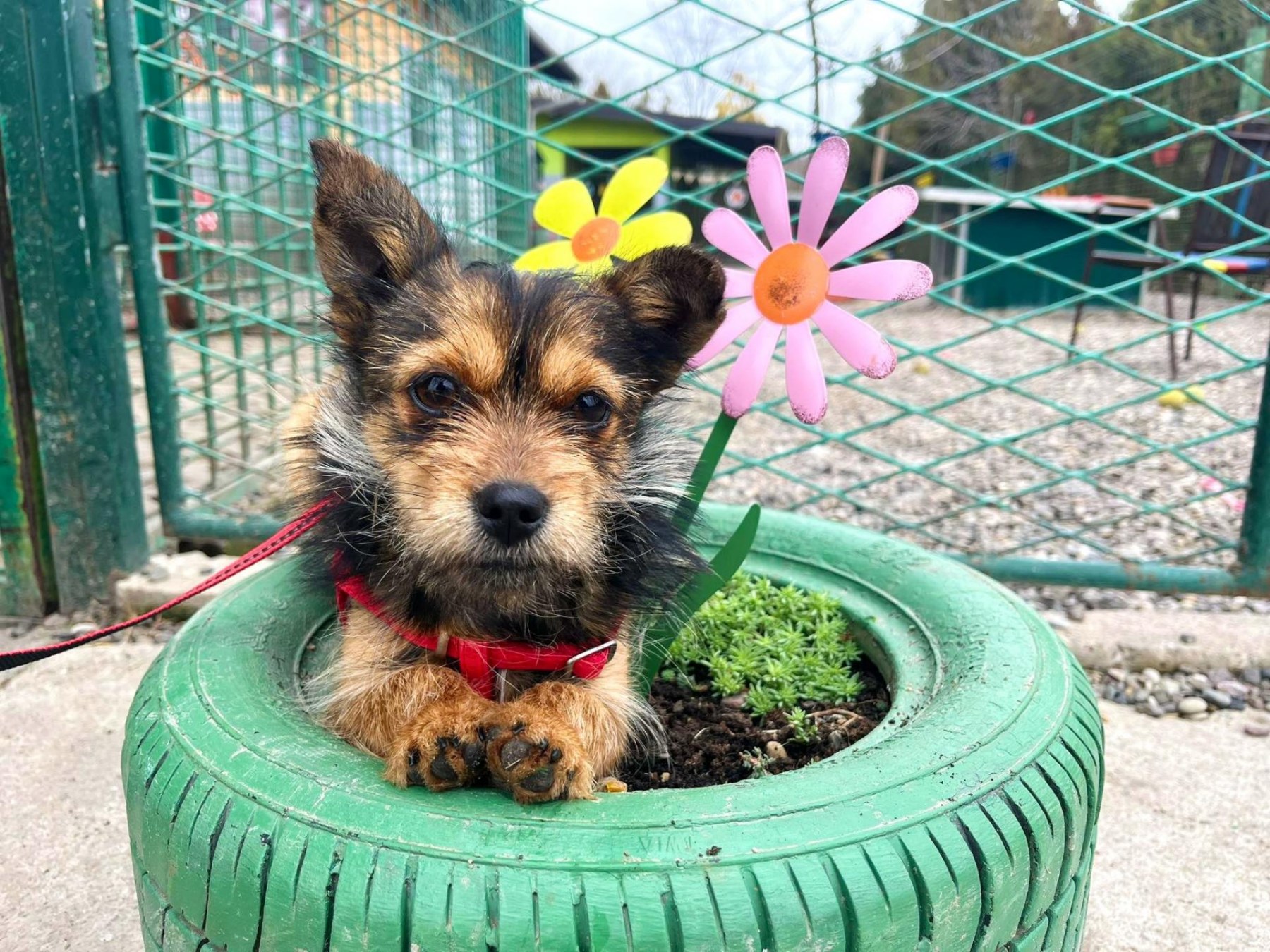  Фото илустрација 