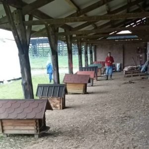 Za azil na Manjači obezbijeđeno 16 kućica za pse