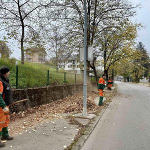 Након сњежних падавина: Интензивирано прикупљање лишћа са јавних површина