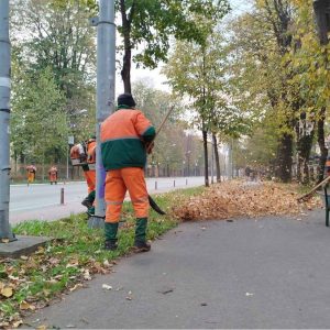 Jesenje aktivnosti: Intenzivirano prikupljanje lišća sa javnih površina