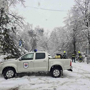 Од јутарњих часова: Екипе на терену, уклањају стабла оштећена усљед сњежних падавина Од јутарњих часова: Екипе на терену, уклањају стабла оштећена усљед сњежних падавина