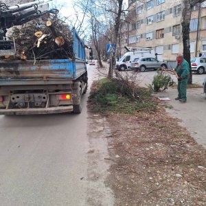 Надлежне екипе на терену, уклањају оштећена стабла и гране