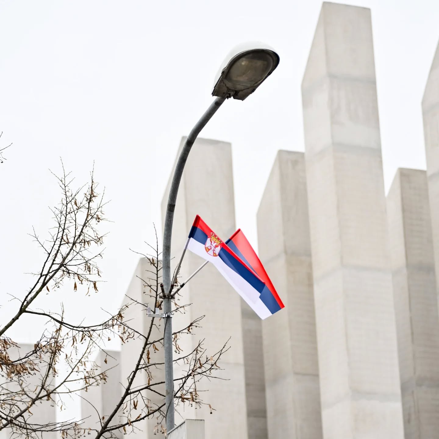  Фото: А. Чавић