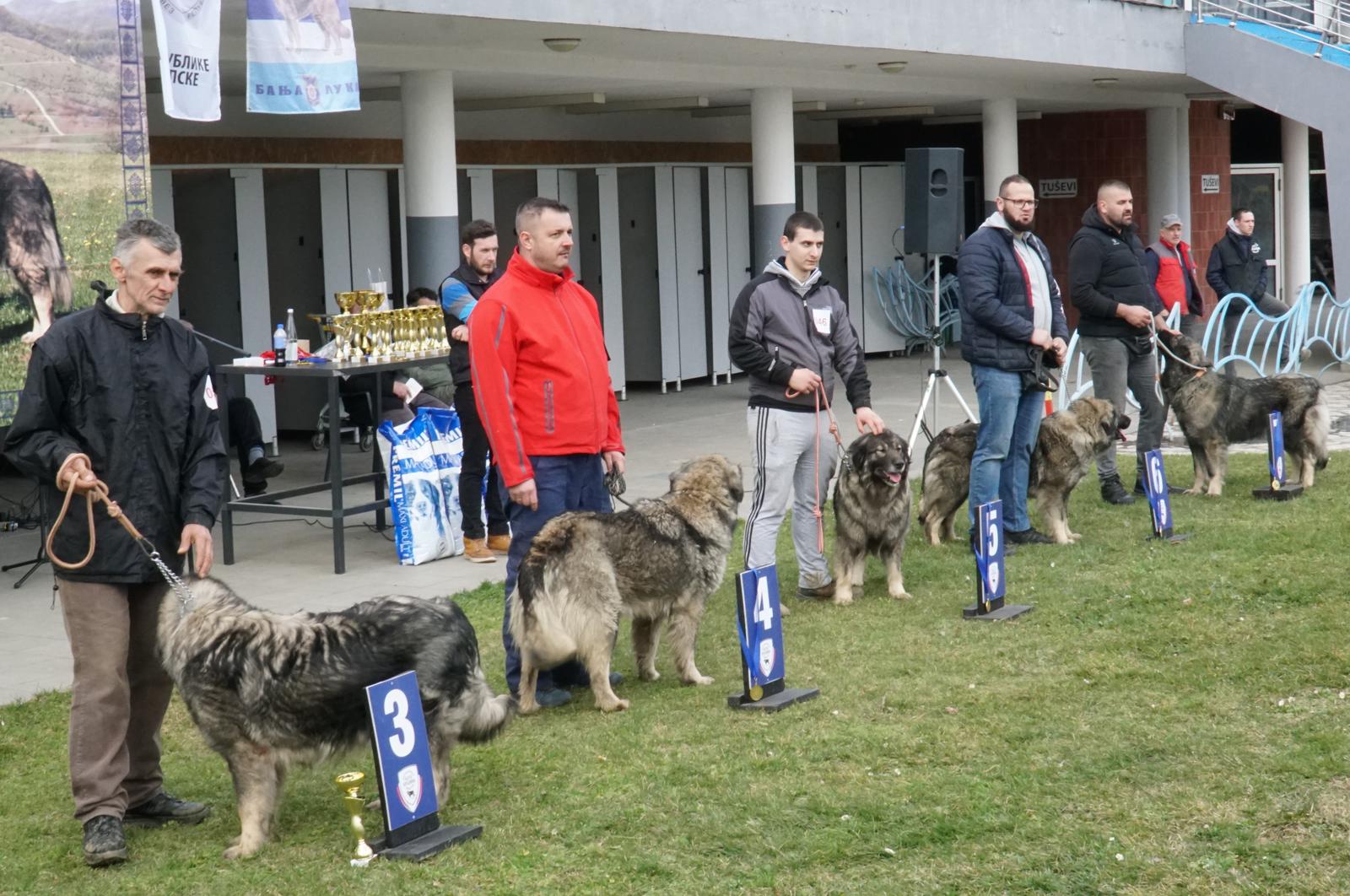  Фото: Г. Бабић